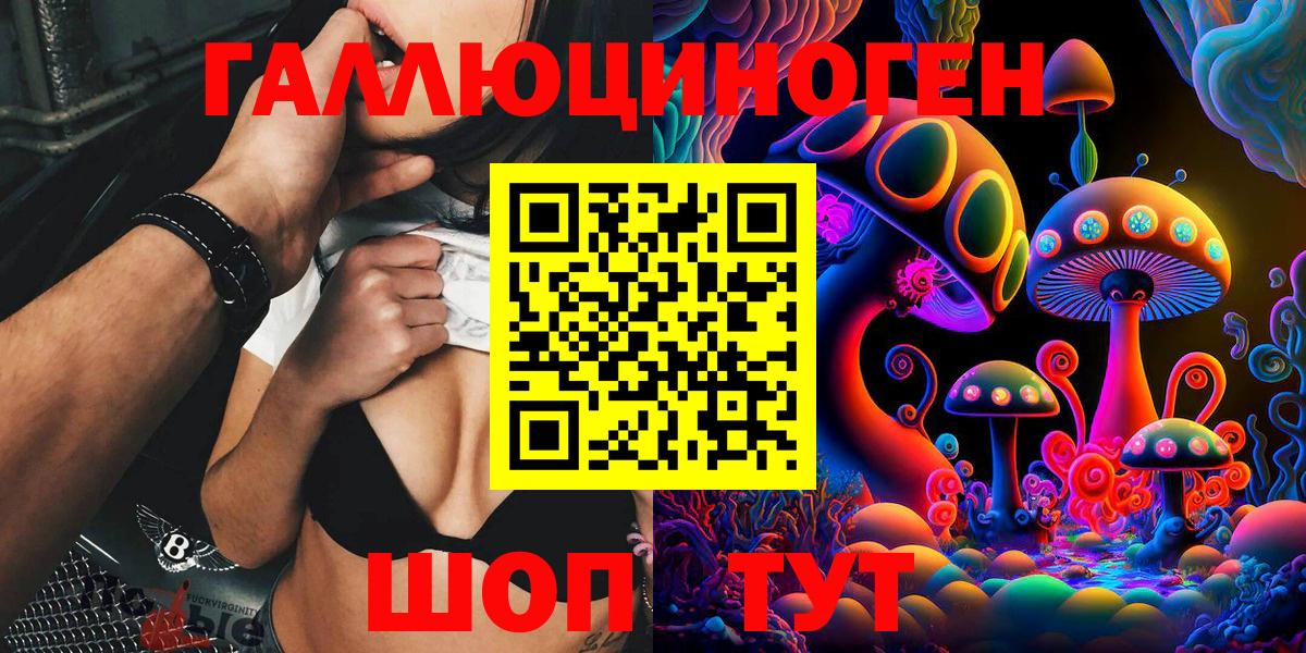 Псилоцибиновые грибы Cubensis Конаково